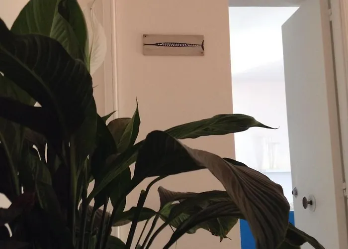 Blue Bay & Агрополи